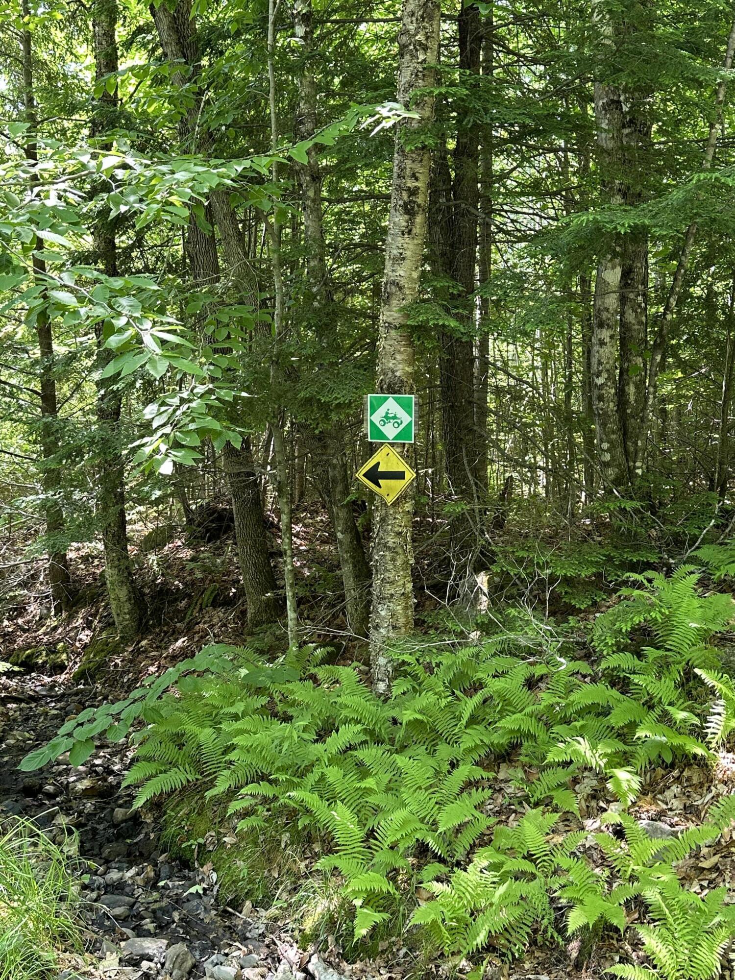 203 Ramsdell Ridge Road Milo, ME 04463 - Photo 19 of 26 IMG_2002