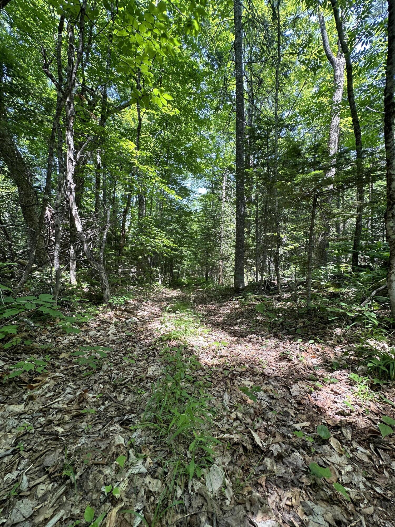 203 Ramsdell Ridge Road Milo, ME 04463 - Photo 20 of 26 IMG_2003