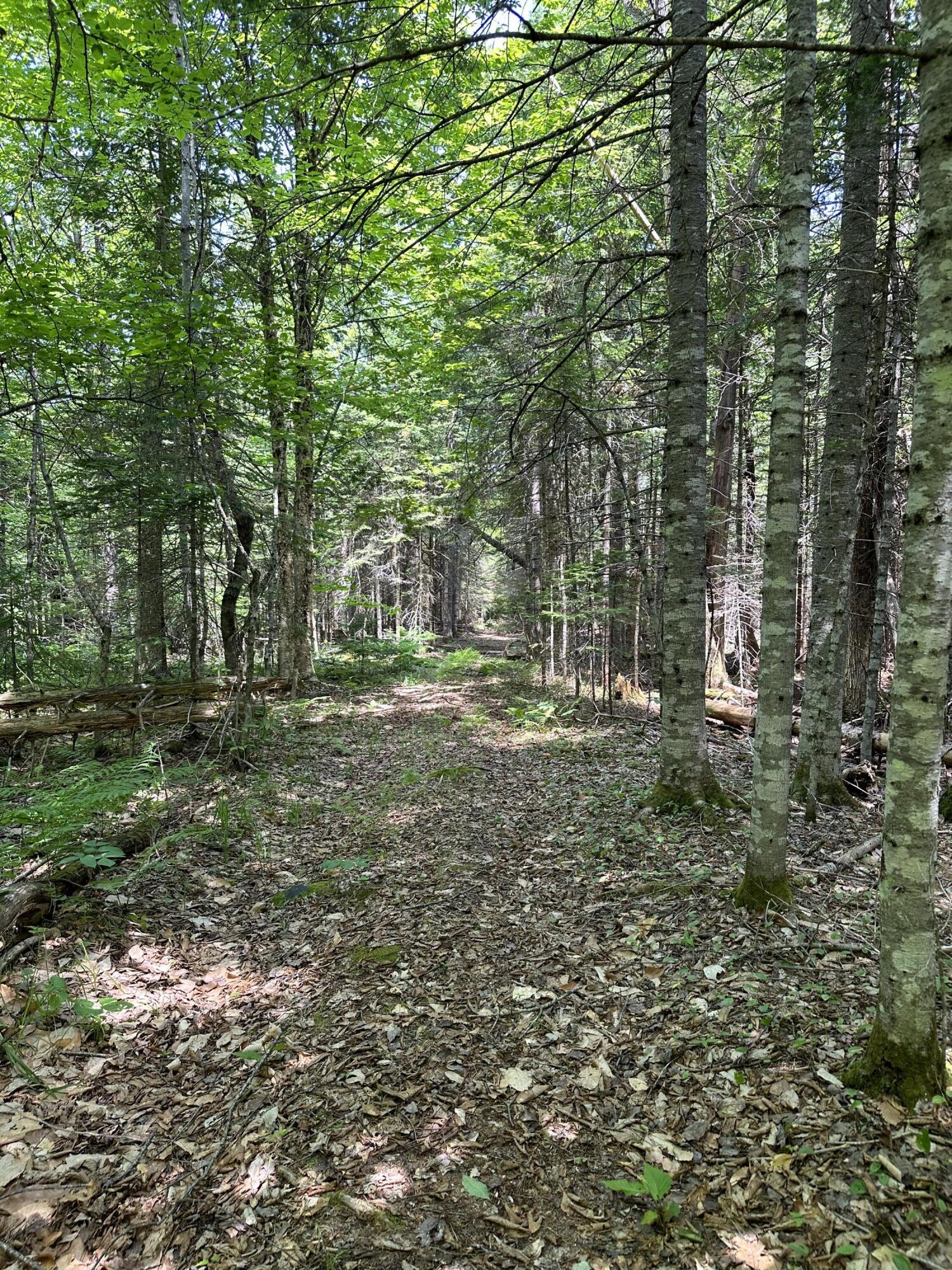 203 Ramsdell Ridge Road Milo, ME 04463 - Photo 21 of 26 IMG_2004