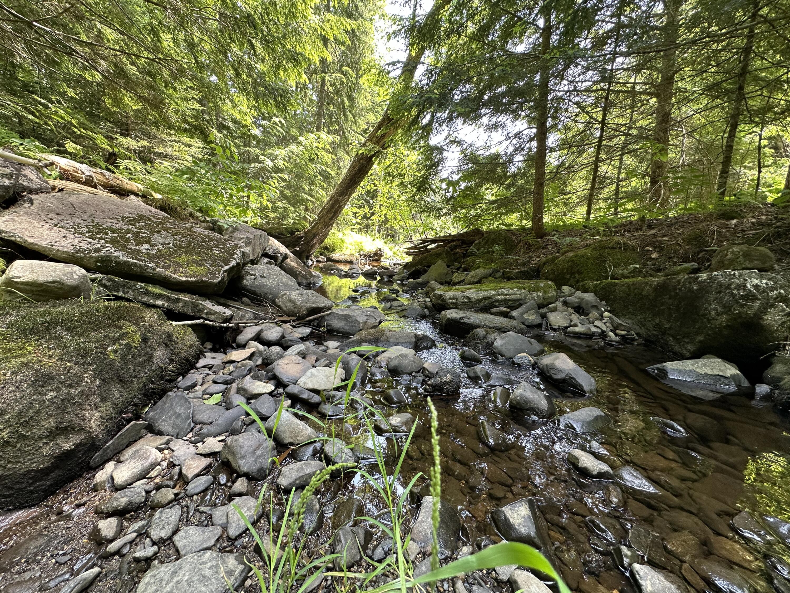 203 Ramsdell Ridge Road Milo, ME 04463 - Photo 22 of 26 IMG_2006