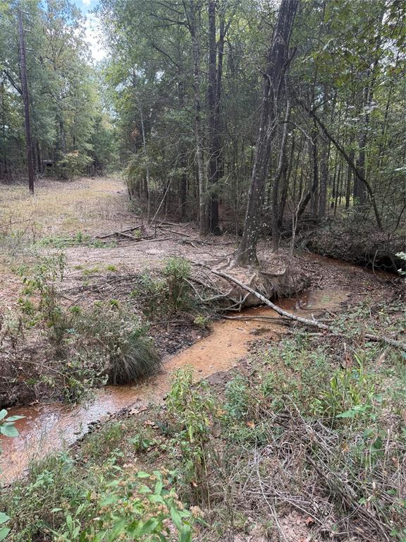 154 St Quitman Tx 75783 Quitman, TX 75783 - Photo 13 of 35 a dirt road with trees in the background