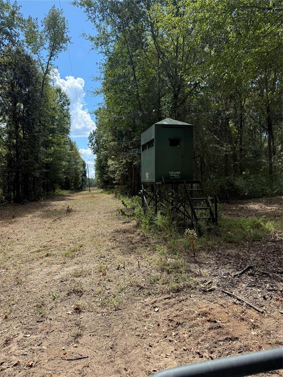 154 St Quitman Tx 75783 Quitman, TX 75783 - Photo 15 of 35 a backyard of a house with lots of green space
