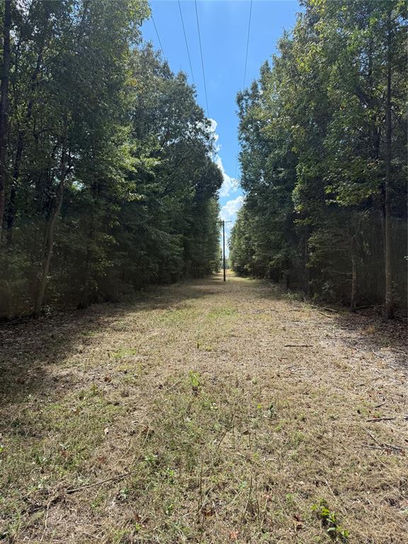 154 St Quitman Tx 75783 Quitman, TX 75783 - Photo 16 of 35 a view of backyard and trees