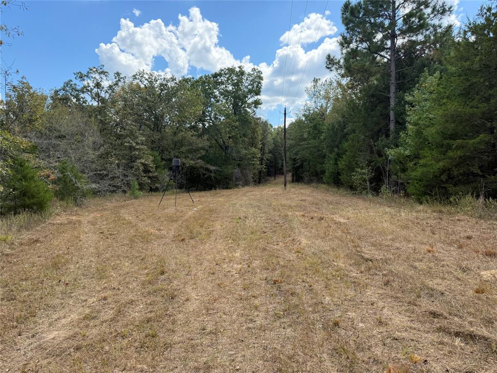154 St Quitman Tx 75783 Quitman, TX 75783 - Photo 17 of 35 a backyard of a house with lots of green space