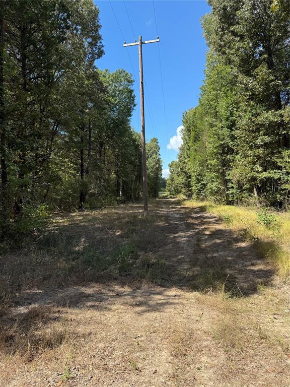 154 St Quitman Tx 75783 Quitman, TX 75783 - Photo 18 of 35 a view of a yard with a tree