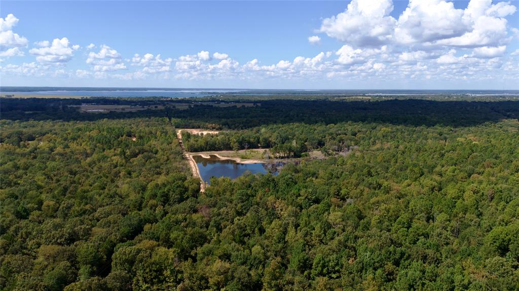 154 St Quitman Tx 75783 Quitman, TX 75783 - Photo 19 of 35 a view of a lake