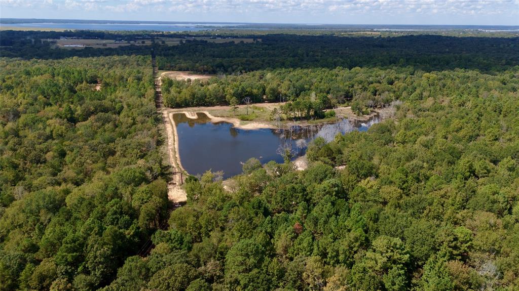 154 St Quitman Tx 75783 Quitman, TX 75783 - Photo 20 of 35 a view of a lake with a yard
