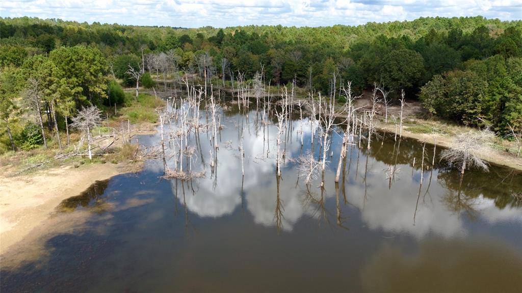 154 St Quitman Tx 75783 Quitman, TX 75783 - Photo 23 of 35 a view of river covered by trees