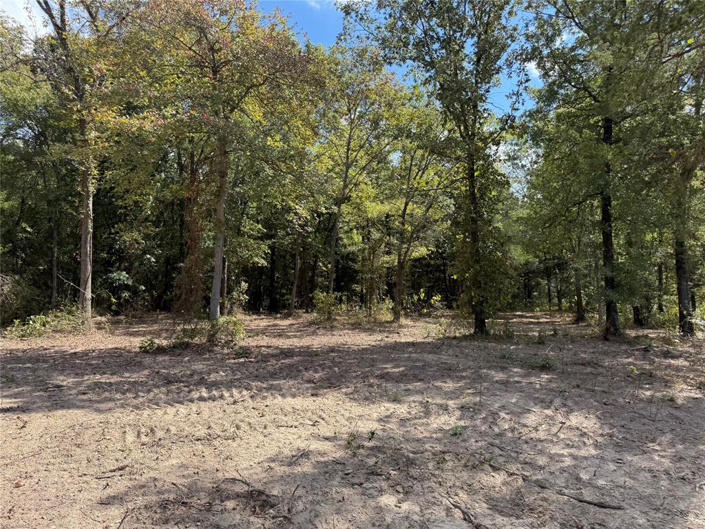 154 St Quitman Tx 75783 Quitman, TX 75783 - Photo 29 of 35 a view of a out door space area