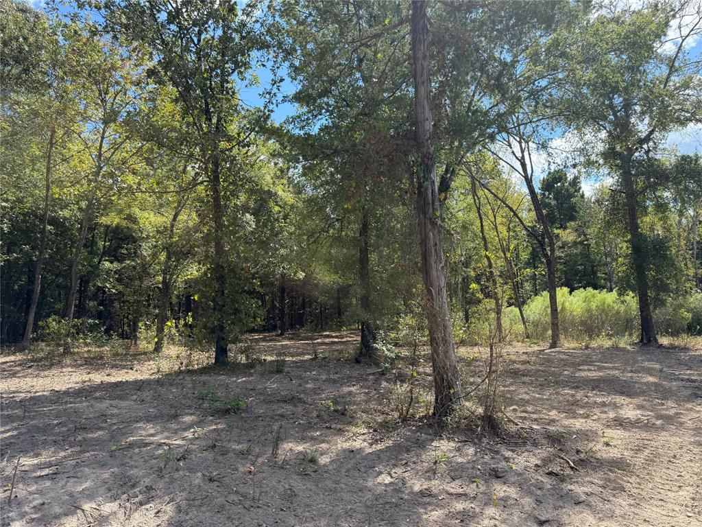 154 St Quitman Tx 75783 Quitman, TX 75783 - Photo 30 of 35 a view of outdoor space with trees