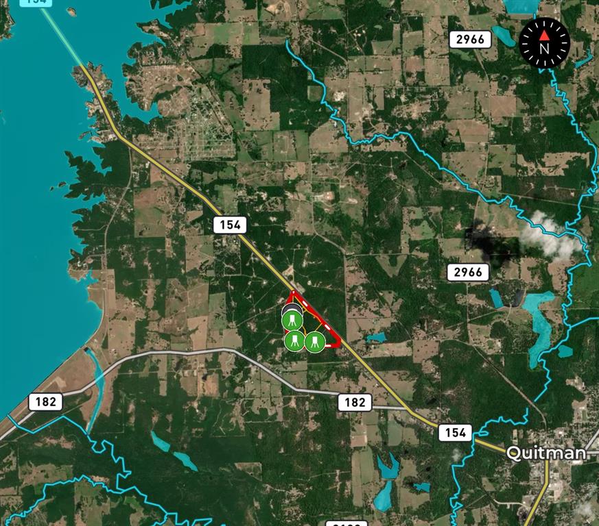 154 St Quitman Tx 75783 Quitman, TX 75783 - Photo 35 of 35 a picture of a tree