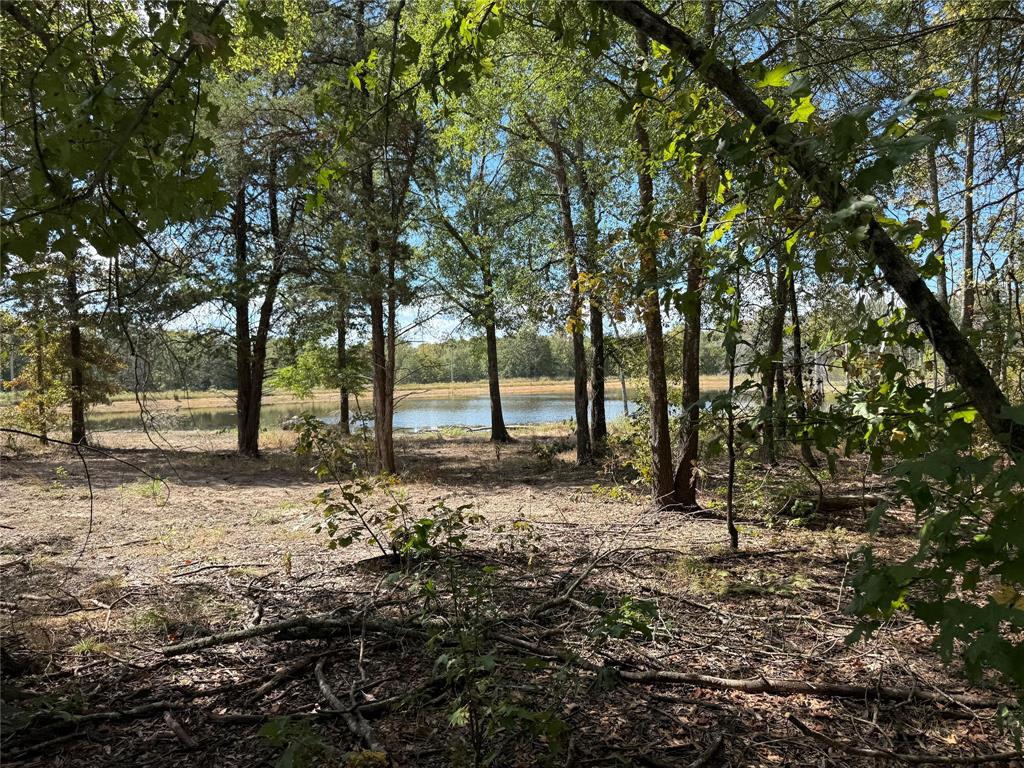154 St Quitman Tx 75783 Quitman, TX 75783 - Photo 4 of 35 a view of road with trees