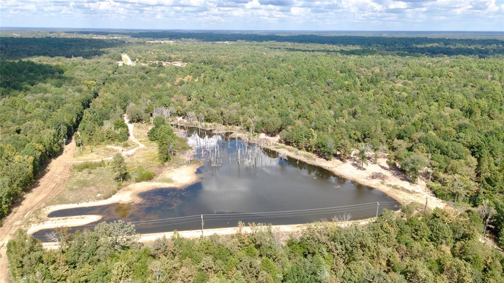 154 St Quitman Tx 75783 Quitman, TX 75783 - Photo 6 of 35 a view of outdoor space and yard