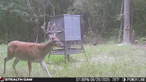 154 St Quitman Tx 75783 Quitman, TX 75783 - Photo 7 of 35 a backyard of a house with table and chairs