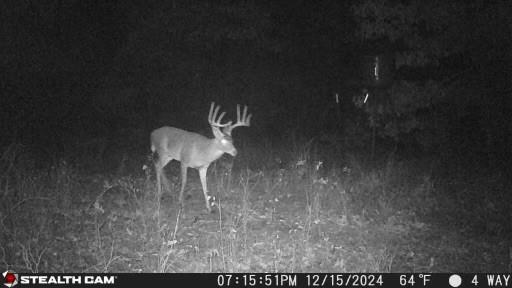 154 St Quitman Tx 75783 Quitman, TX 75783 - Photo 8 of 35 a view of a fireplace