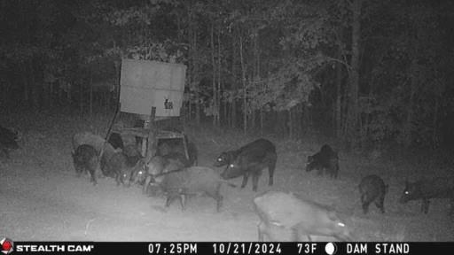 154 St Quitman Tx 75783 Quitman, TX 75783 - Photo 9 of 35 a view of a room