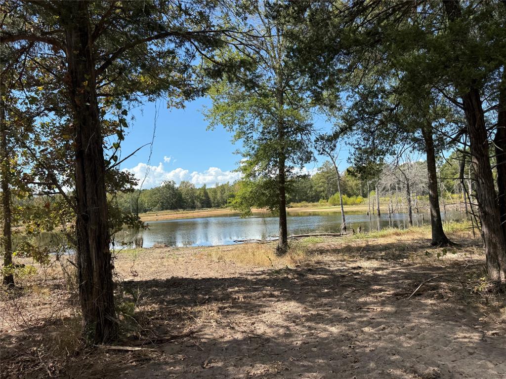 154 St Quitman Tx 75783 Quitman, TX 75783 - Photo 10 of 35 a view of a yard with a tree