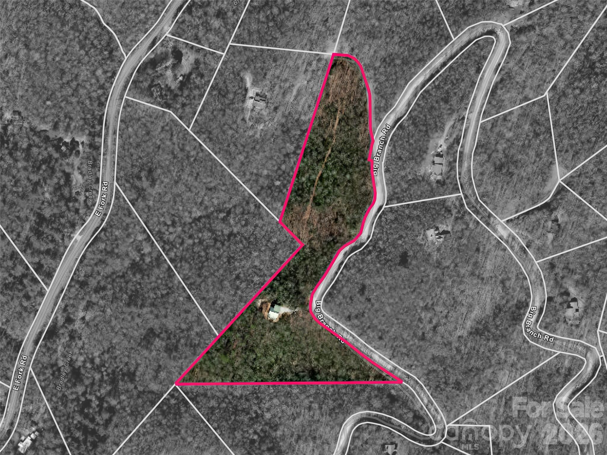 935 Big Branch Road Brevard, NC 28712 - Photo 16 of 44