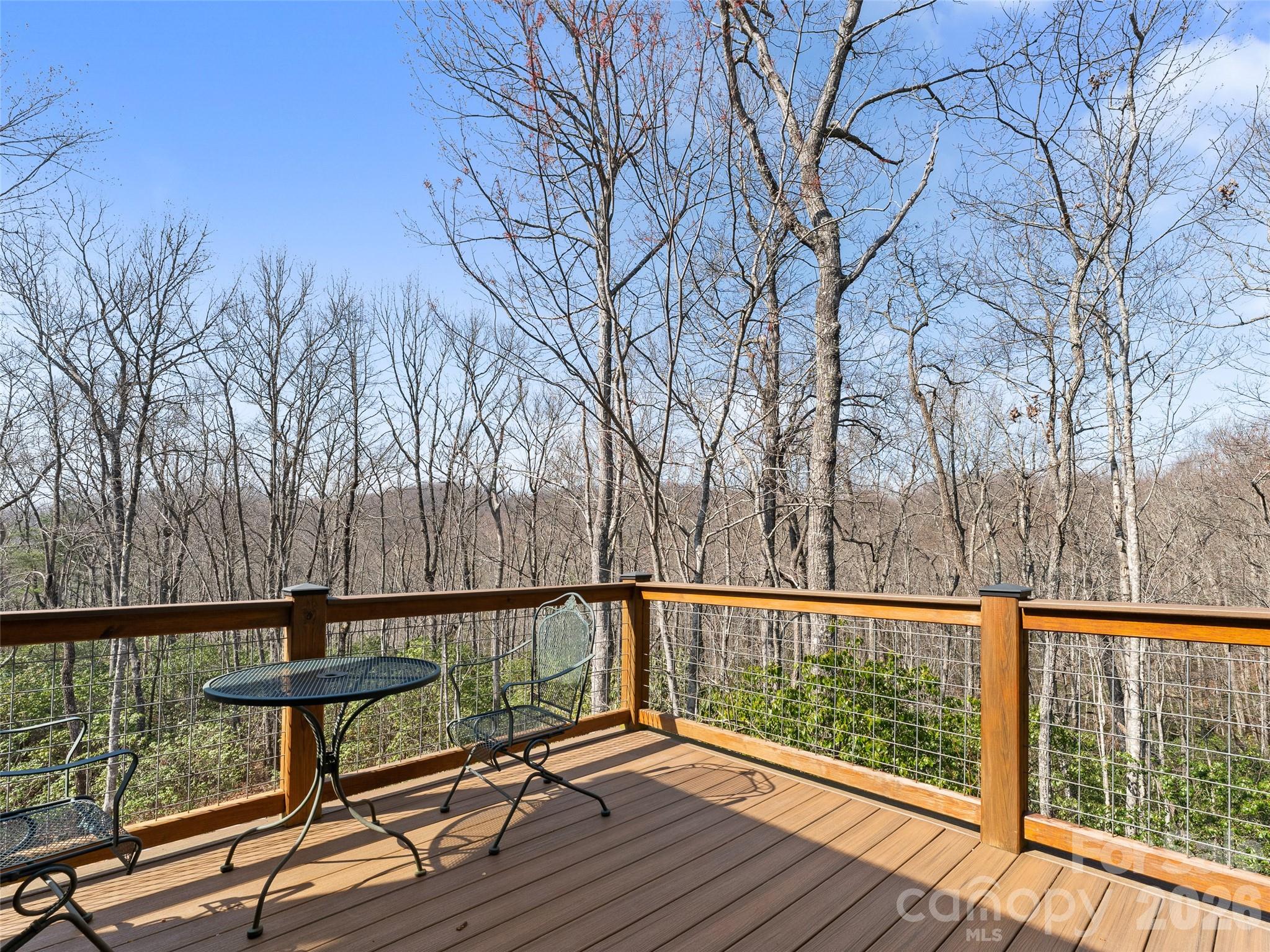 935 Big Branch Road Brevard, NC 28712 - Photo 2 of 44