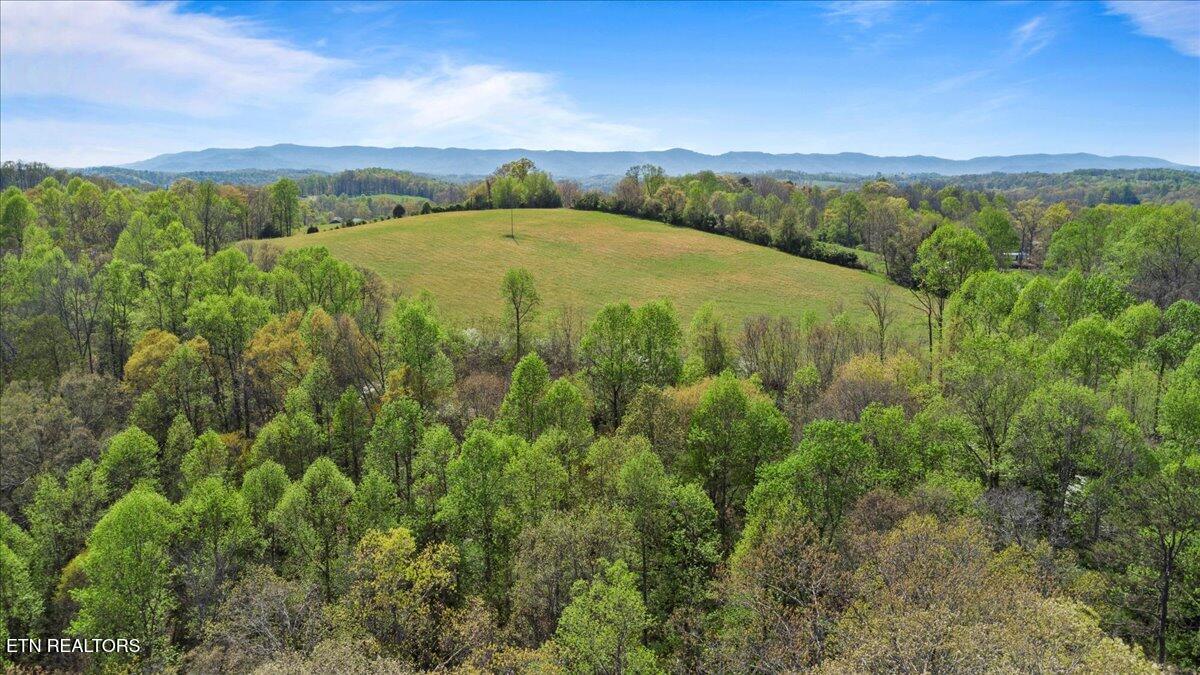 Old Glory Lane La Follette, TN 37766 - Photo 3 of 14 02-Old Glory