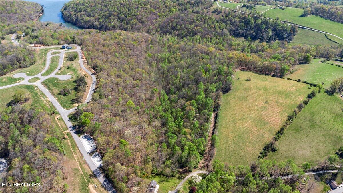 Old Glory Lane La Follette, TN 37766 - Photo 5 of 14 04-Old Glory