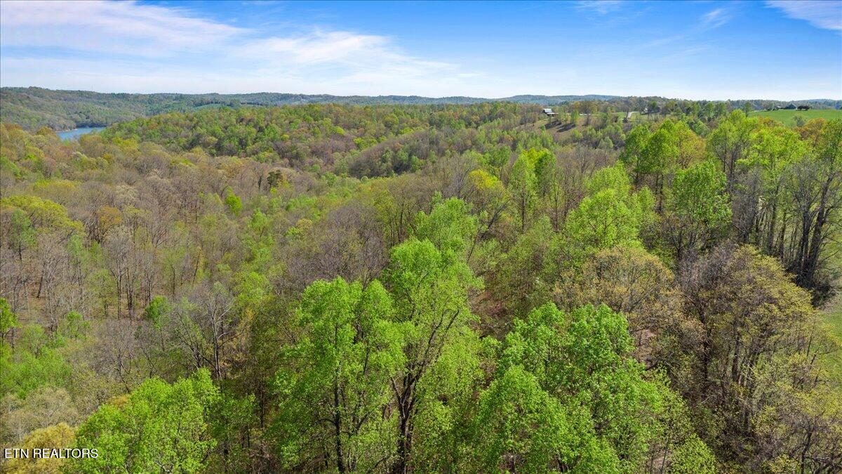 Old Glory Lane La Follette, TN 37766 - Photo 10 of 14 09-Old Glory