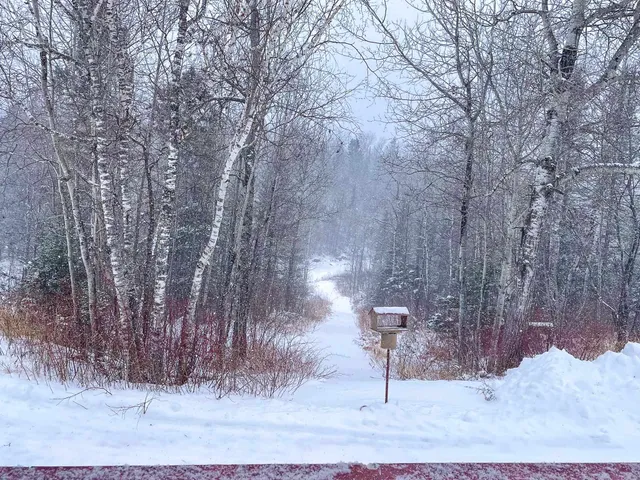 $375,000 | 7115 State Highway 1, Finland, MN 55603