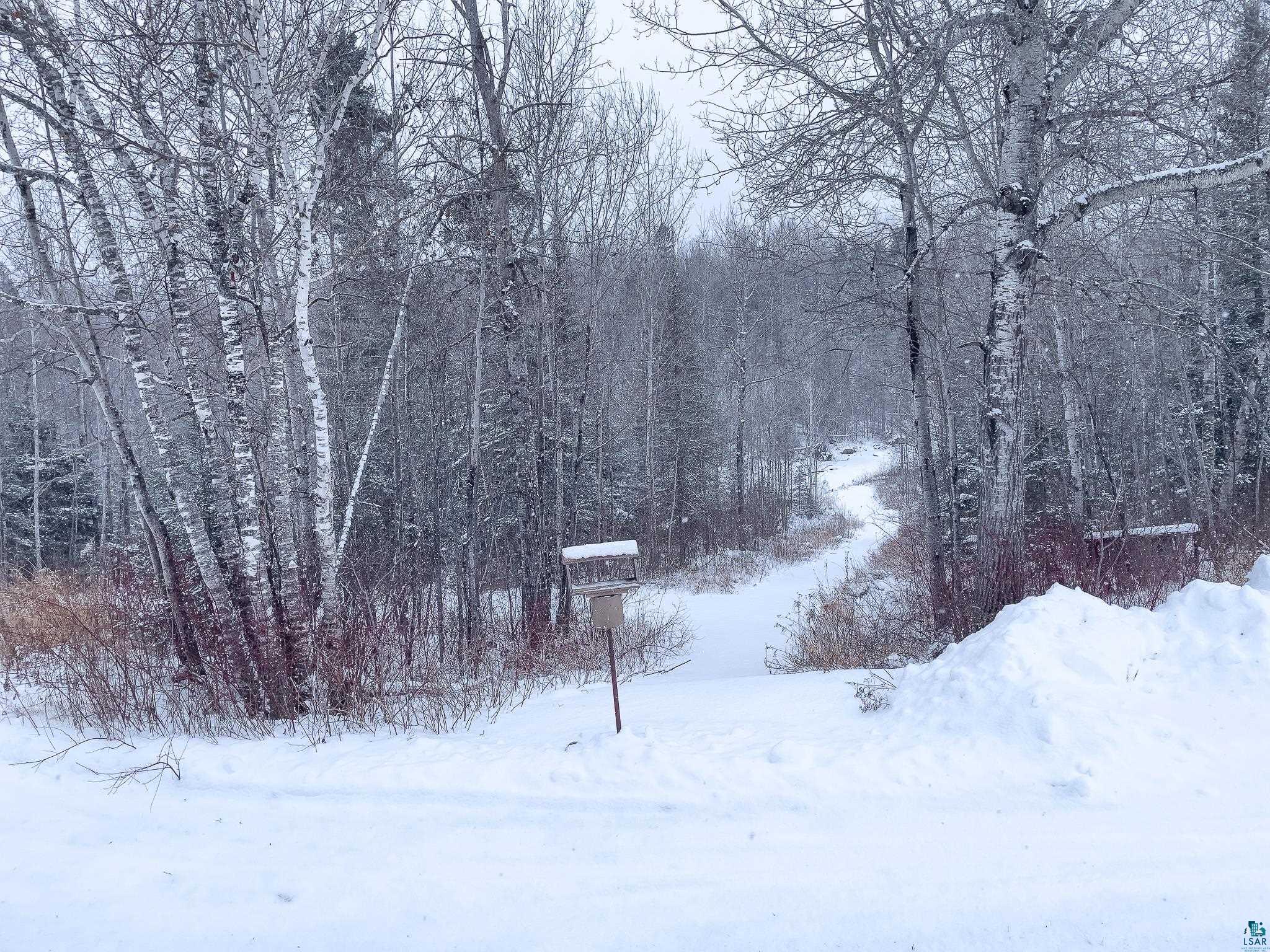 7115 State Highway 1 Finland, MN 55603 - Photo 48 of 62 Path to the River