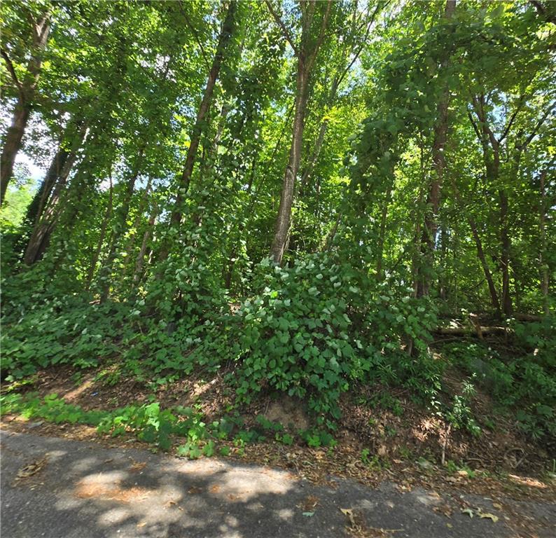 0 Beechwood Road Elberton, GA 30635 - Photo 2 of 5 a view of a lush green forest