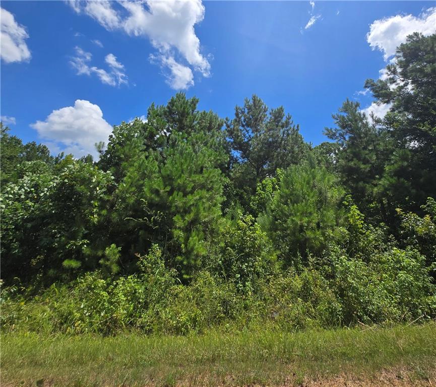 0 Beechwood Road Elberton, GA 30635 - Photo 3 of 5 a backyard of a house with lots of green space and garden view