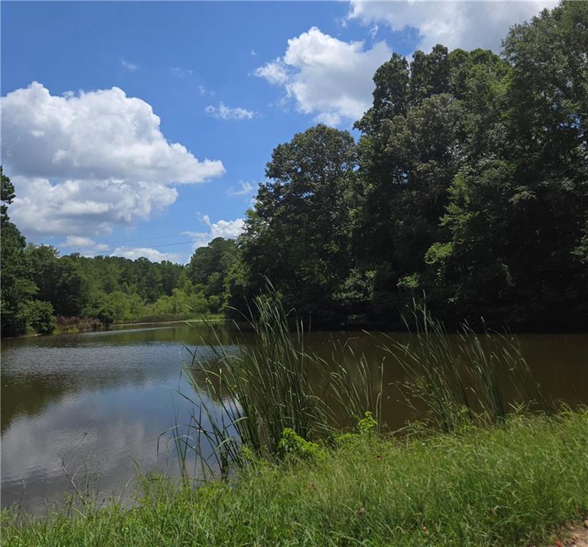 0 Beechwood Road Elberton, GA 30635 - Photo 4 of 5 a view of lake with green space