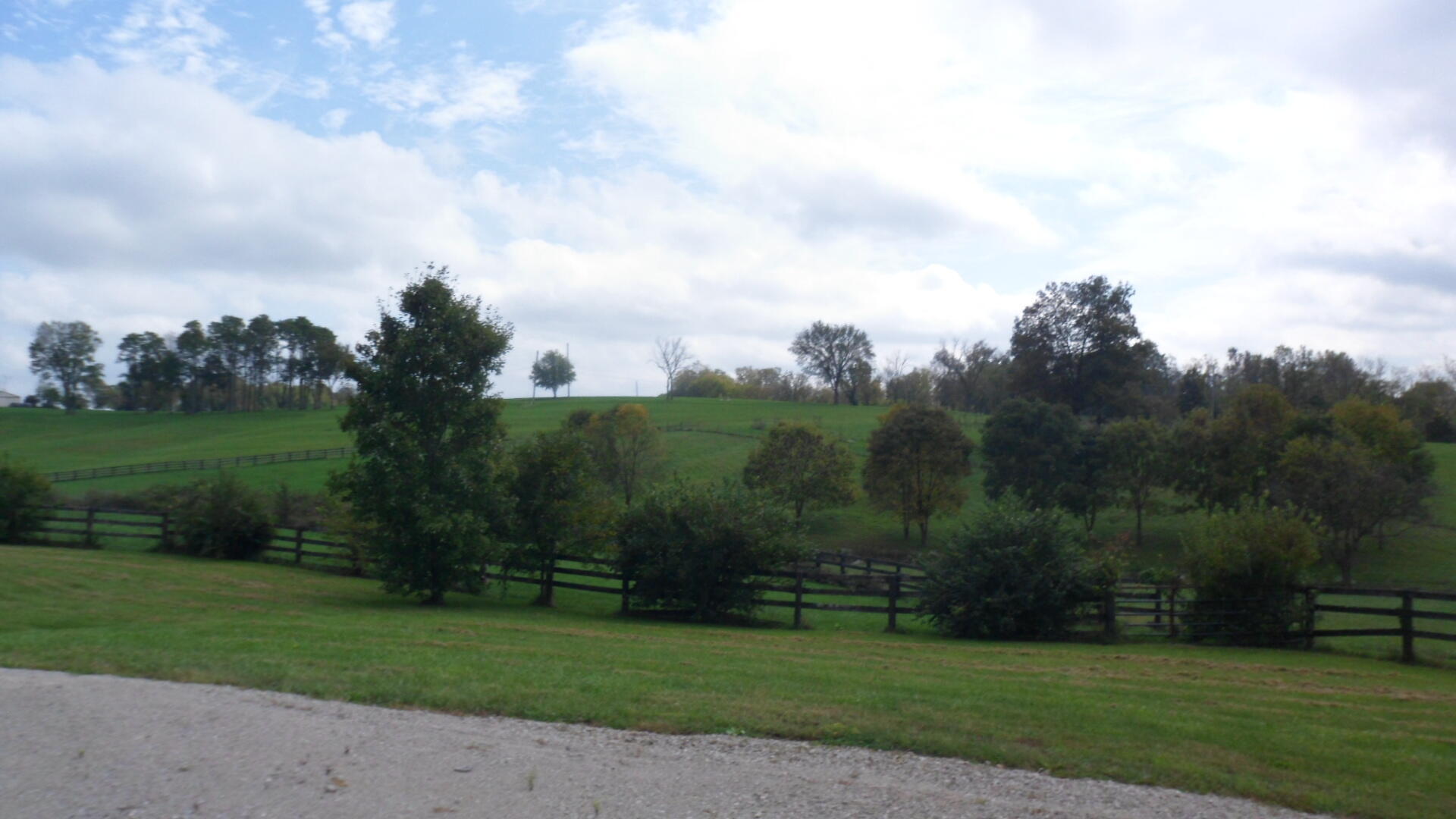 479 Locust Fork Road Stamping Ground, KY 40379 - Photo 8 of 50 back field 2