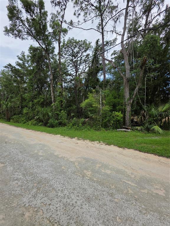 0 Pointview Road Brooksville, FL 34601 - Photo 6 of 6 a view of a yard with a tree
