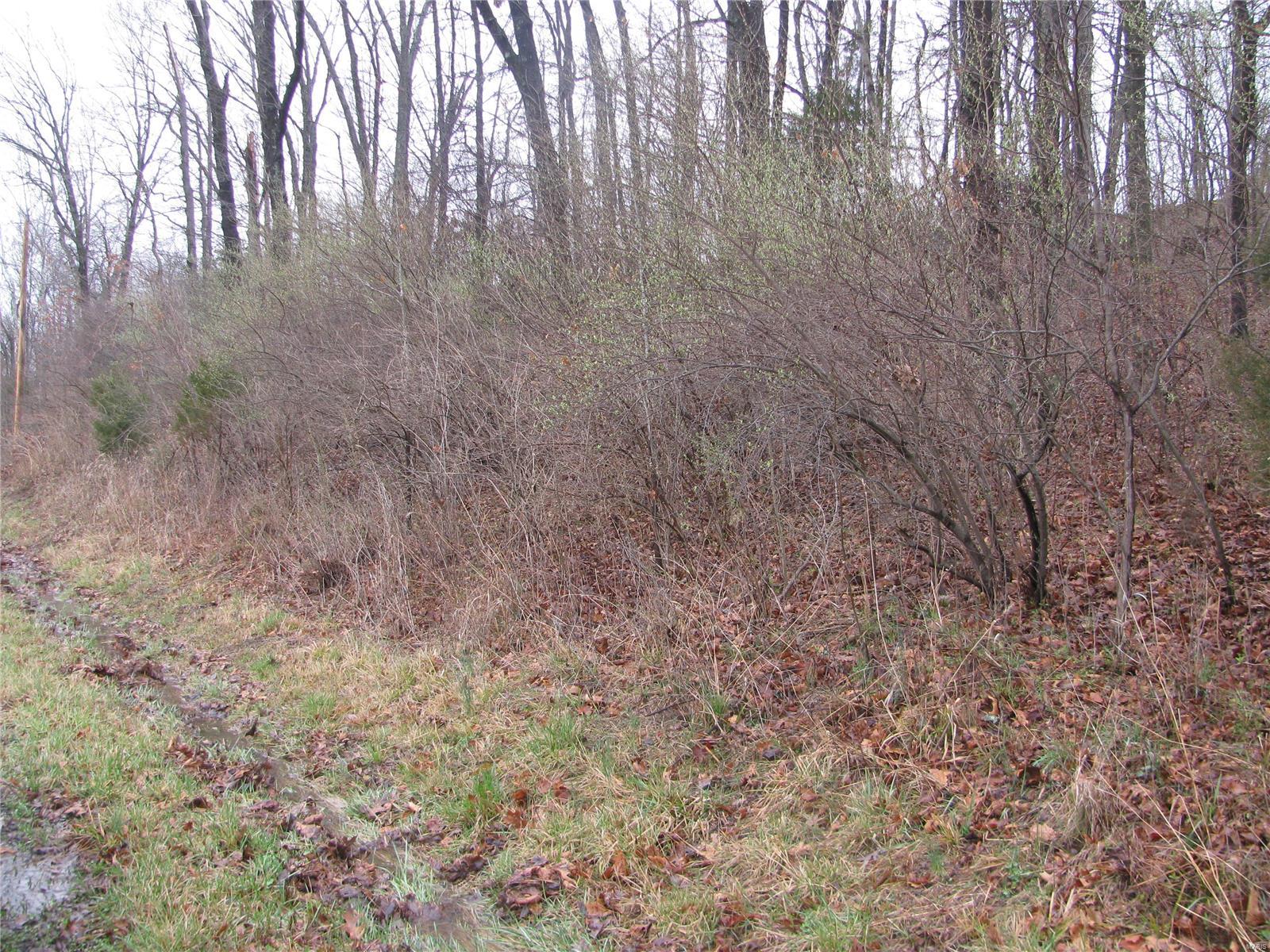 0 Wilson Road Ava, IL 62907 - Photo 2 of 7