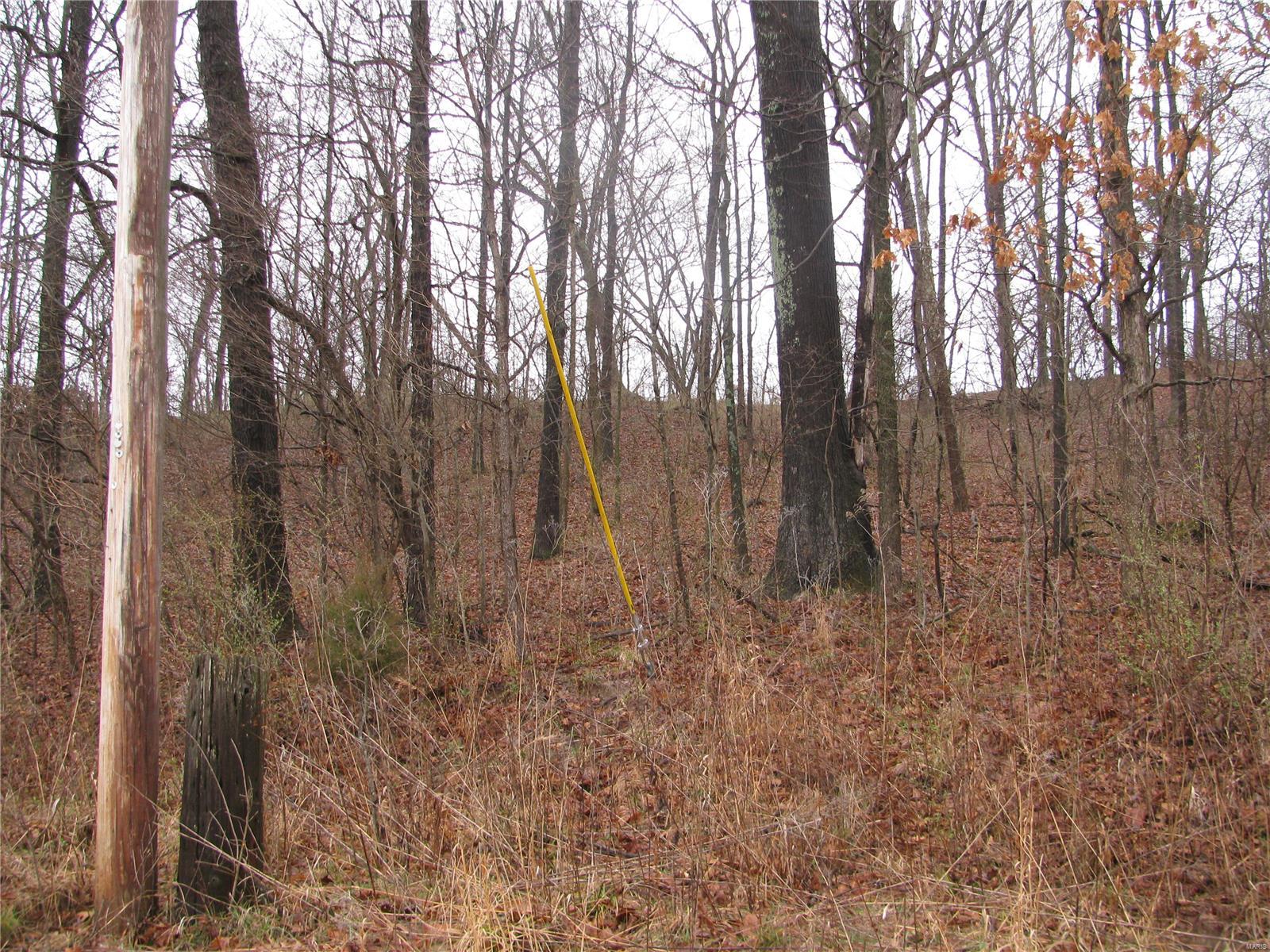 0 Wilson Road Ava, IL 62907 - Photo 3 of 7