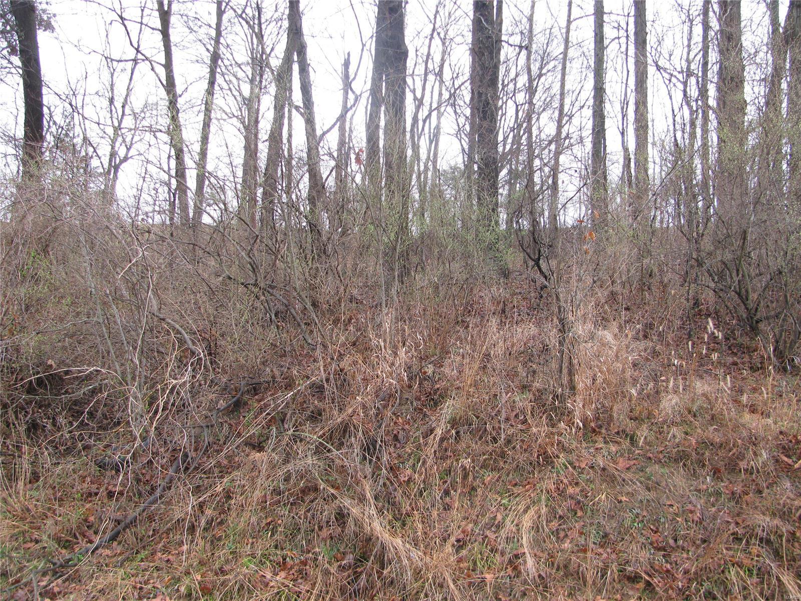 0 Wilson Road Ava, IL 62907 - Photo 4 of 7