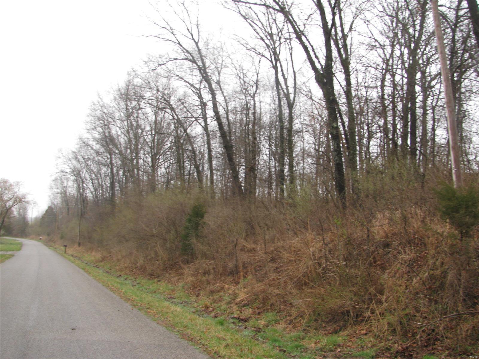 0 Wilson Road Ava, IL 62907 - Photo 5 of 7