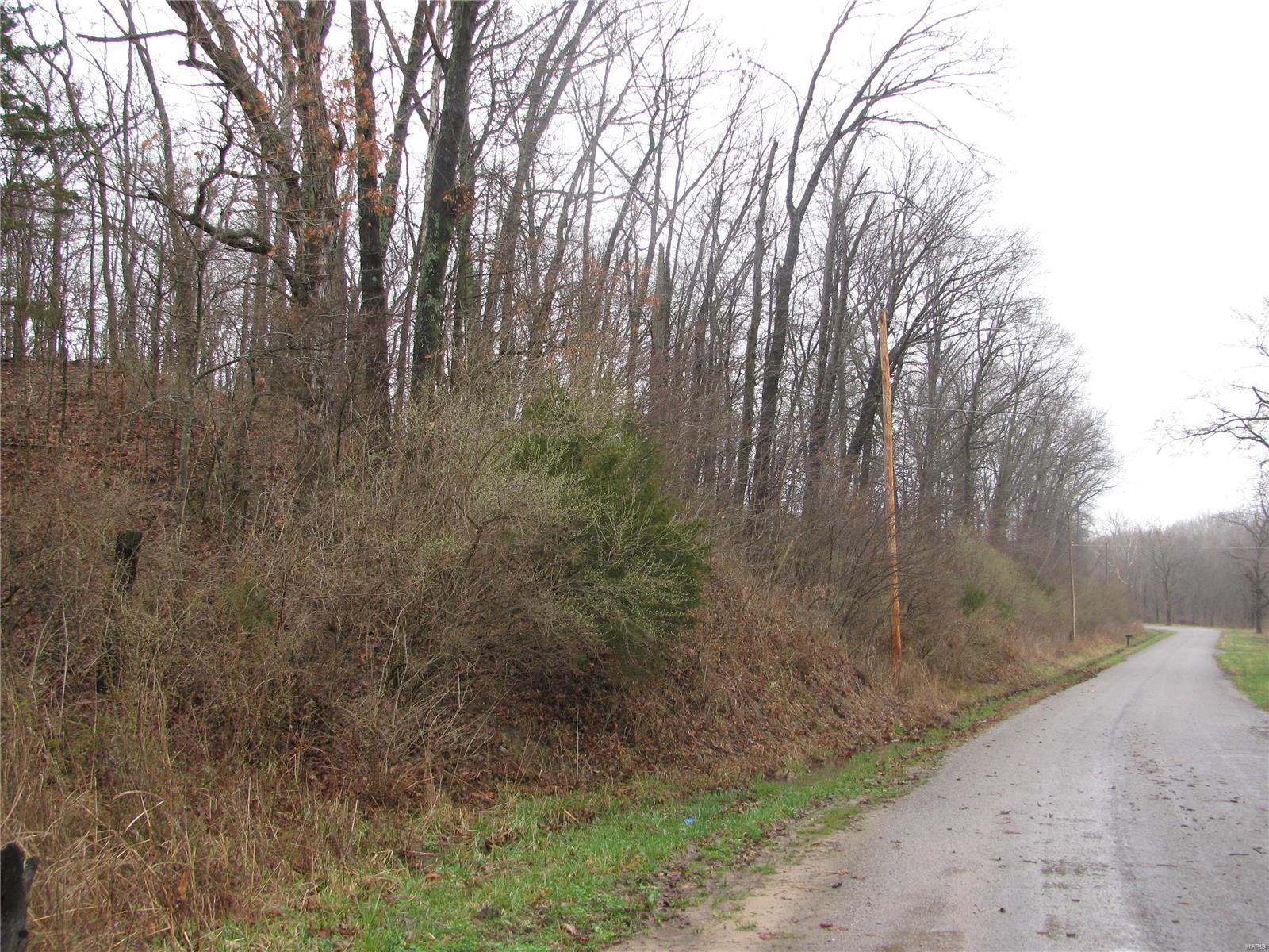0 Wilson Road Ava, IL 62907 - Photo 7 of 7