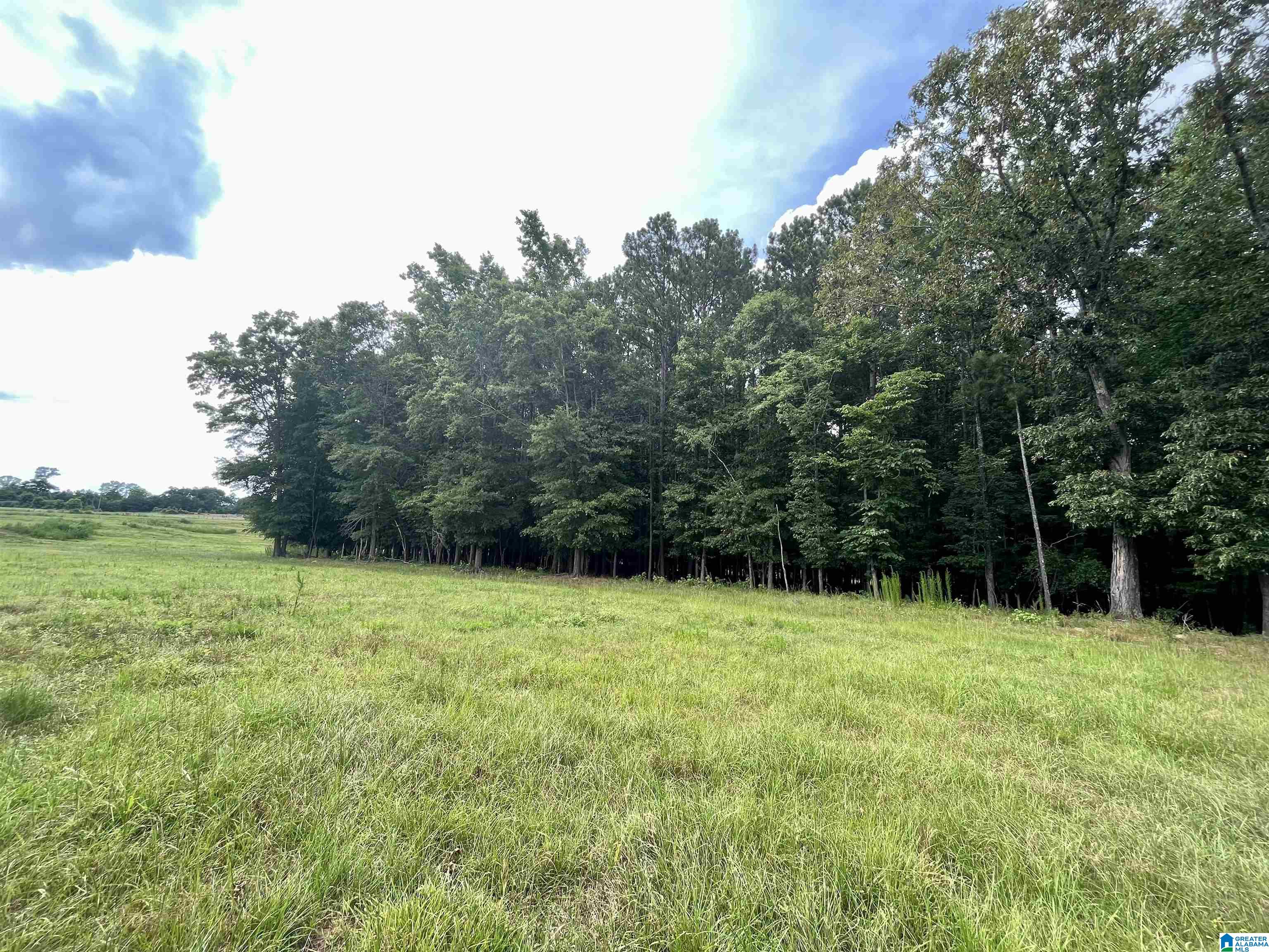 2917 Doublehead Road, Unit 170 ACRES Roanoke, AL 36274 - Photo 9 of 18