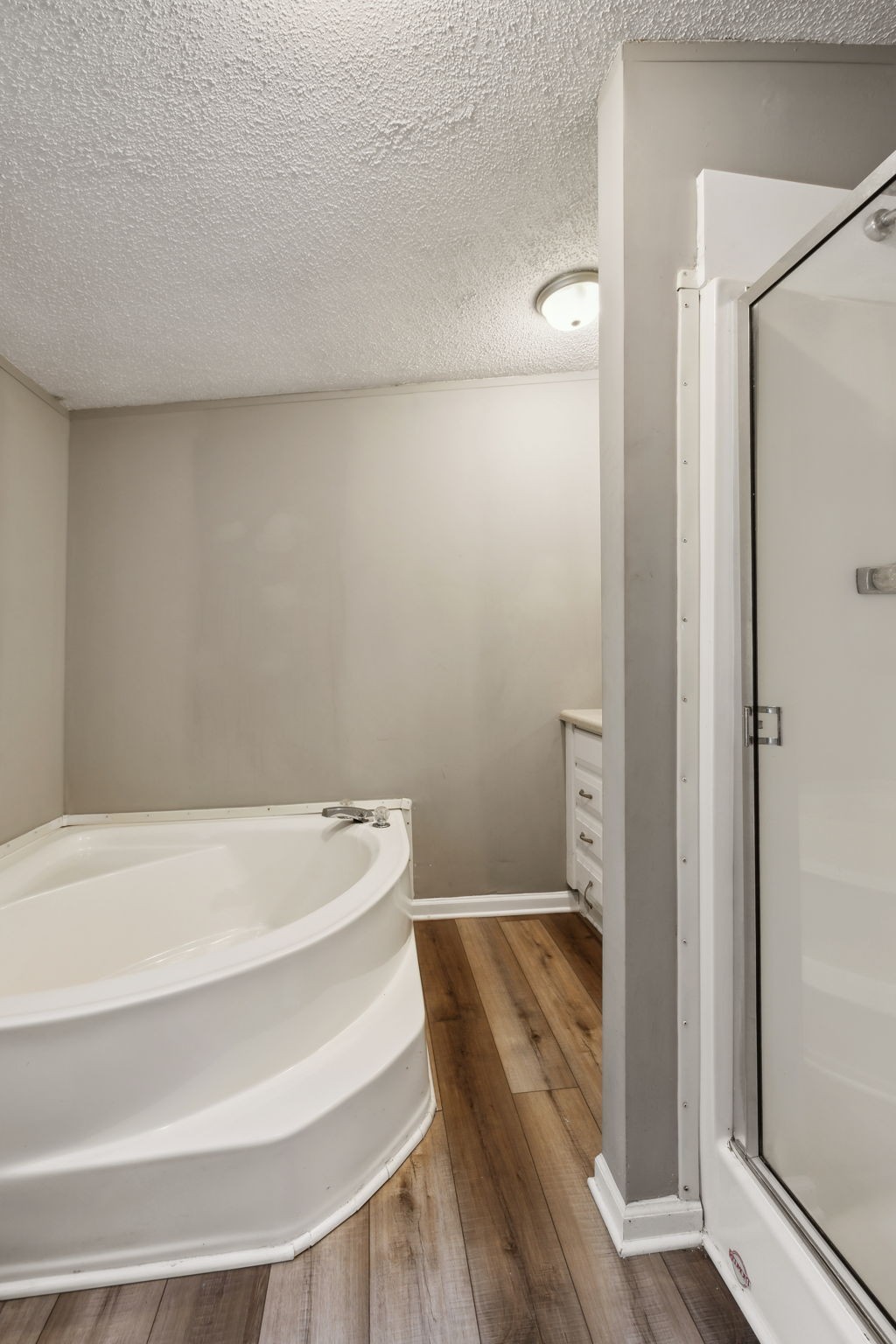 2201 Mt Pleasant Cemetery Road Primm Springs, TN 38476 - Photo 19 of 36 a bathroom with a bathtub