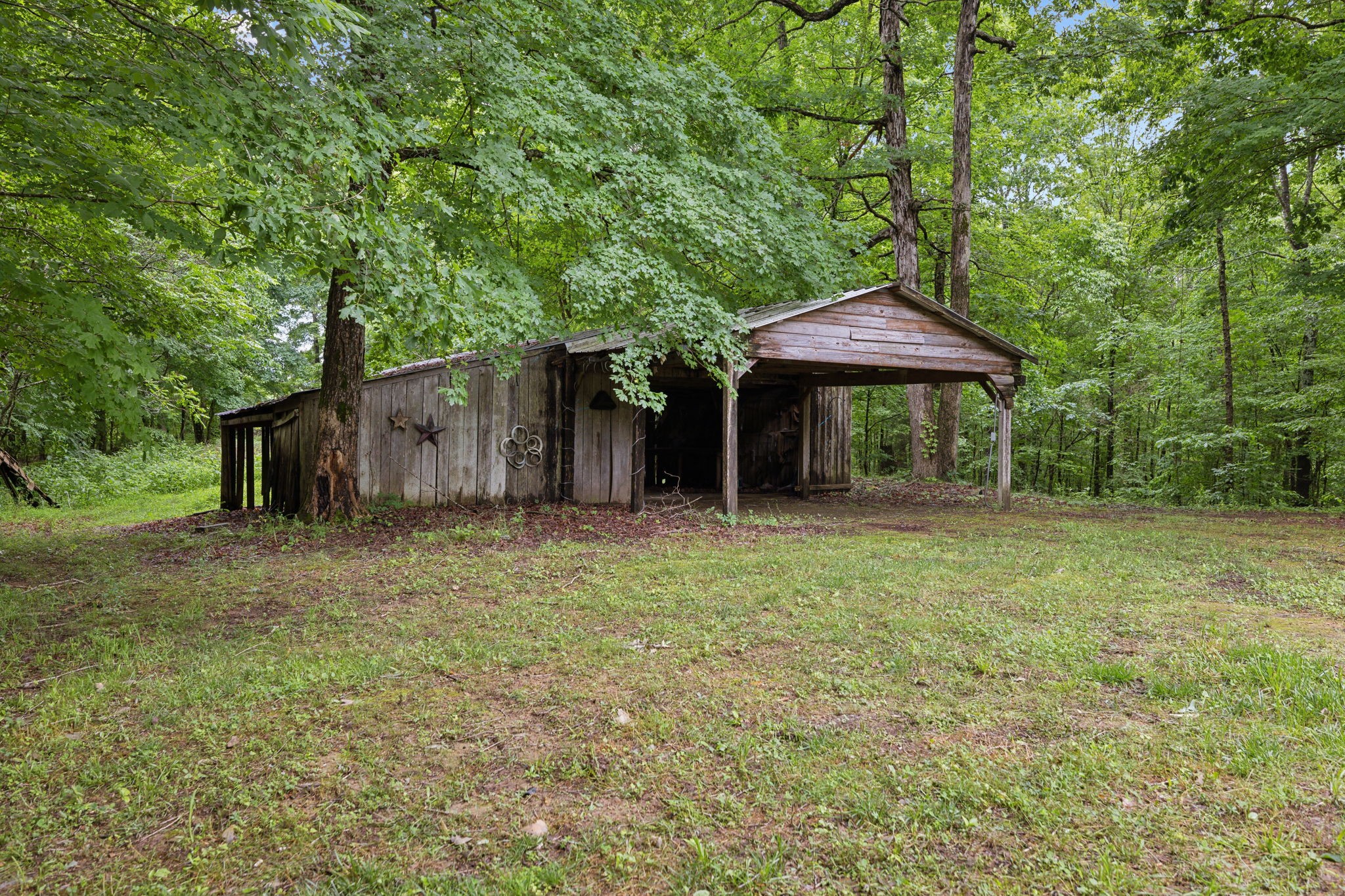 2201 Mt Pleasant Cemetery Road Primm Springs, TN 38476 - Photo 29 of 36 a backyard of a house with a table and chairs