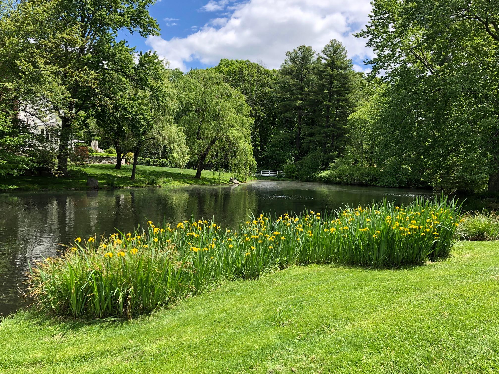 155 Michigan Road New Canaan, CT 06840 - Photo 29 of 40 a view of a lake