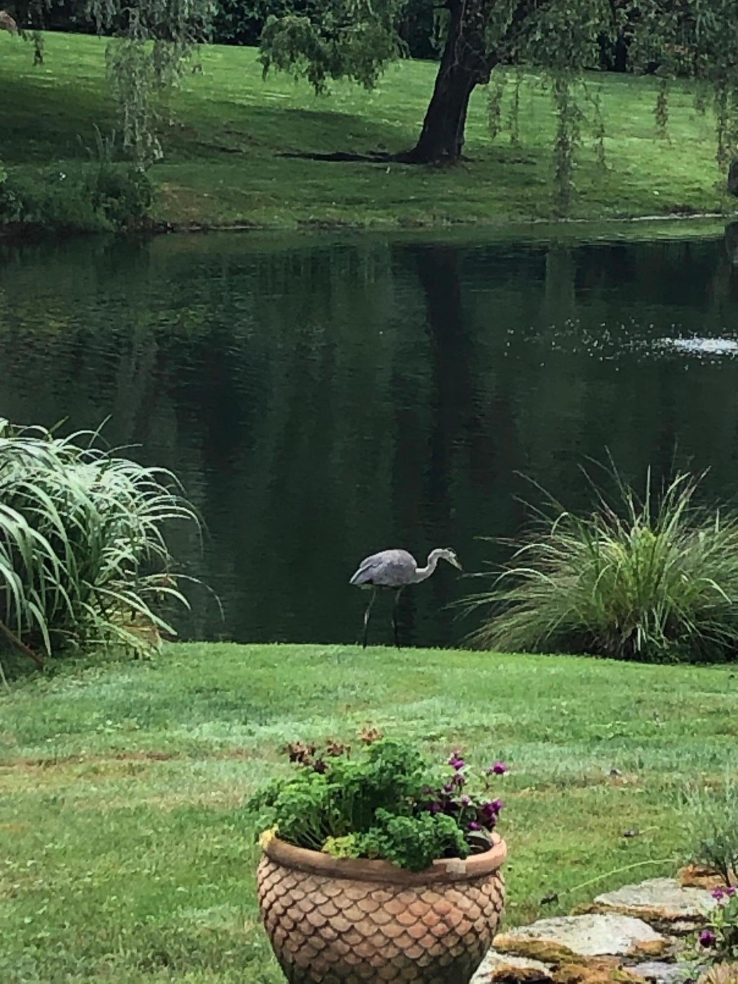 155 Michigan Road New Canaan, CT 06840 - Photo 30 of 40 a view of a lake with a yard