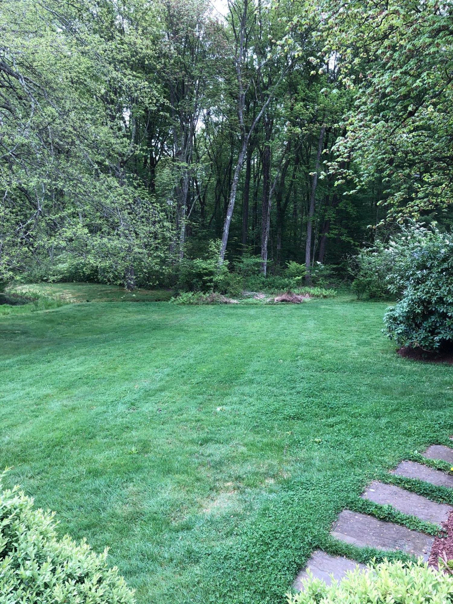 155 Michigan Road New Canaan, CT 06840 - Photo 32 of 40 a view of backyard with green space