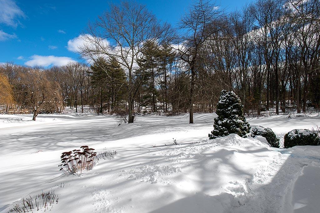 155 Michigan Road New Canaan, CT 06840 - Photo 39 of 40 a view of a park with large trees