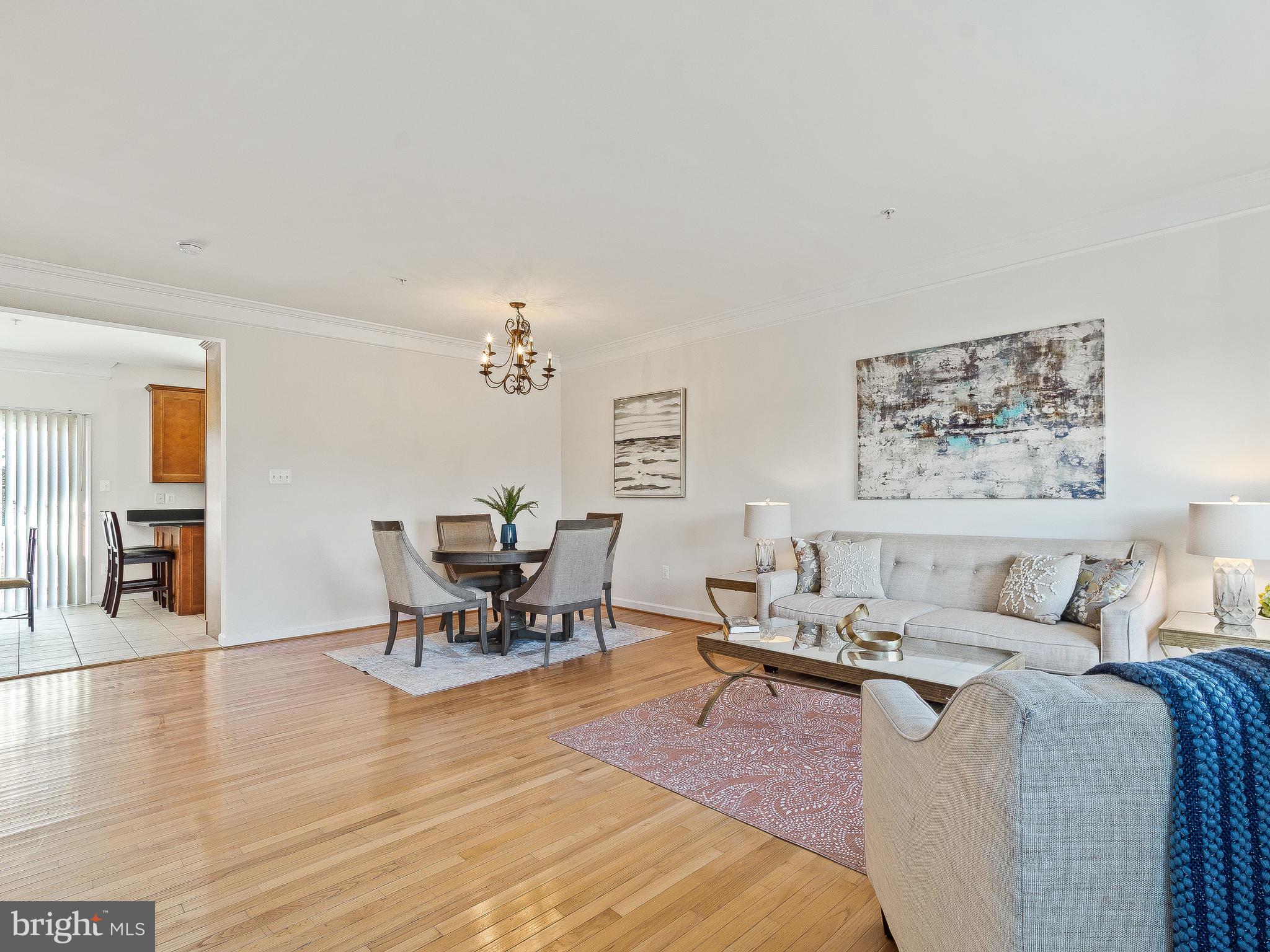 14034 Castle Ridge Way, Unit 25 Silver Spring, MD 20904 - Photo 7 of 46 Living Room