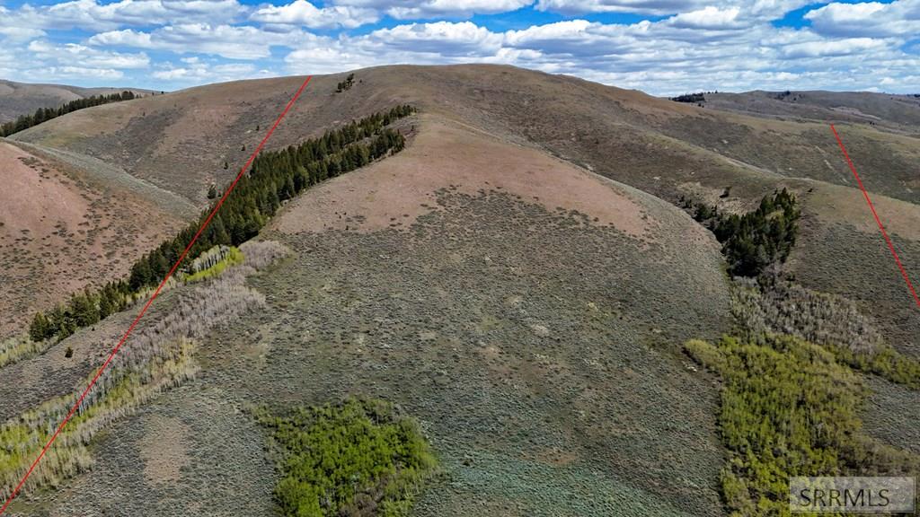 Tbd Tbd White Ridge Road Soda Springs, ID 83276 - Photo 11 of 22