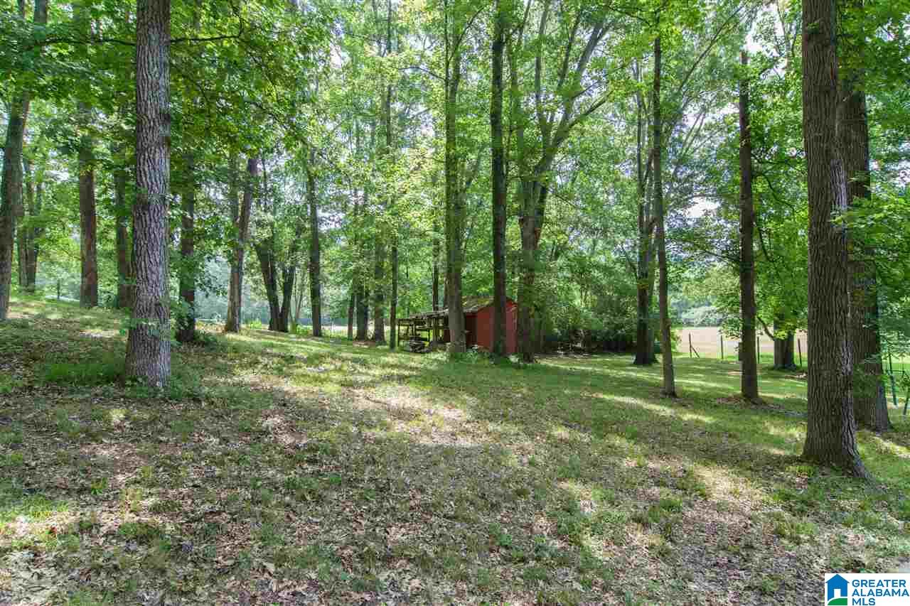 8065 Brookwood Road Pinson, AL 35126 - Photo 43 of 49