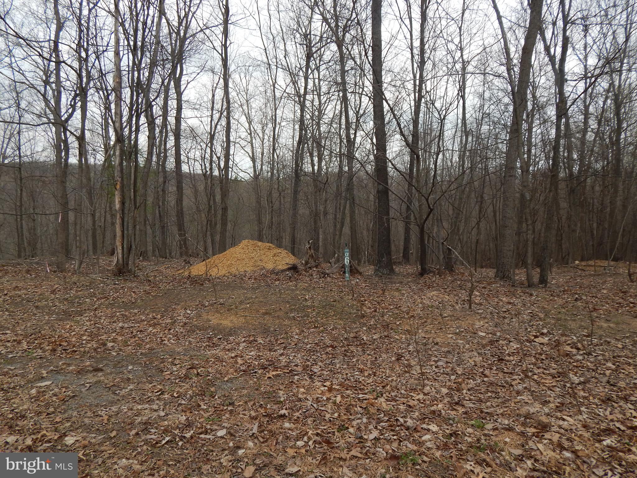Lot 37 Riggs Lane Berkeley Springs, WV 25411 - Photo 3 of 7 Gallery Image 3