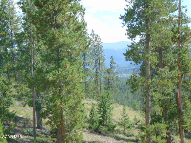446 County Road 86 Tabernash, CO 80478 - Photo 5 of 36 a view of a forest with a tree
